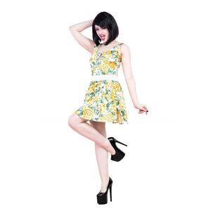 Hearts & Roses Carnation Floral Mini Fit and Flare Dress 6 NWT Boho Summer Brigh
